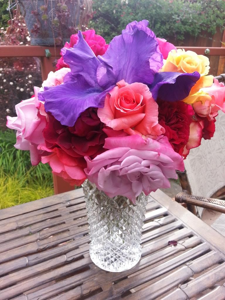  photo 20140522_174117_zpszvuprs8m.jpg